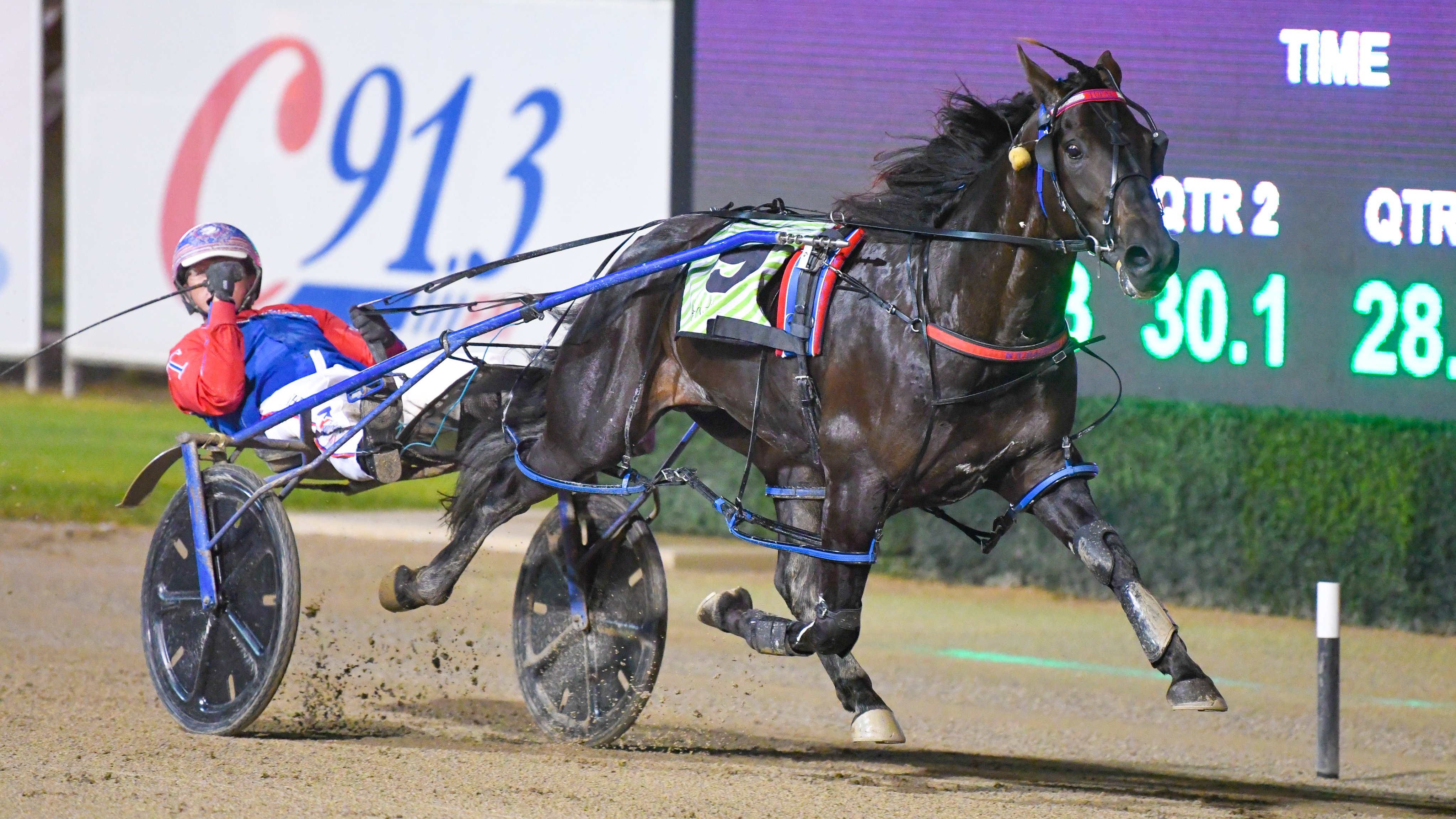 Buz Post Racing Buzz Bathurst pacer aiming for Chariots Of Fire