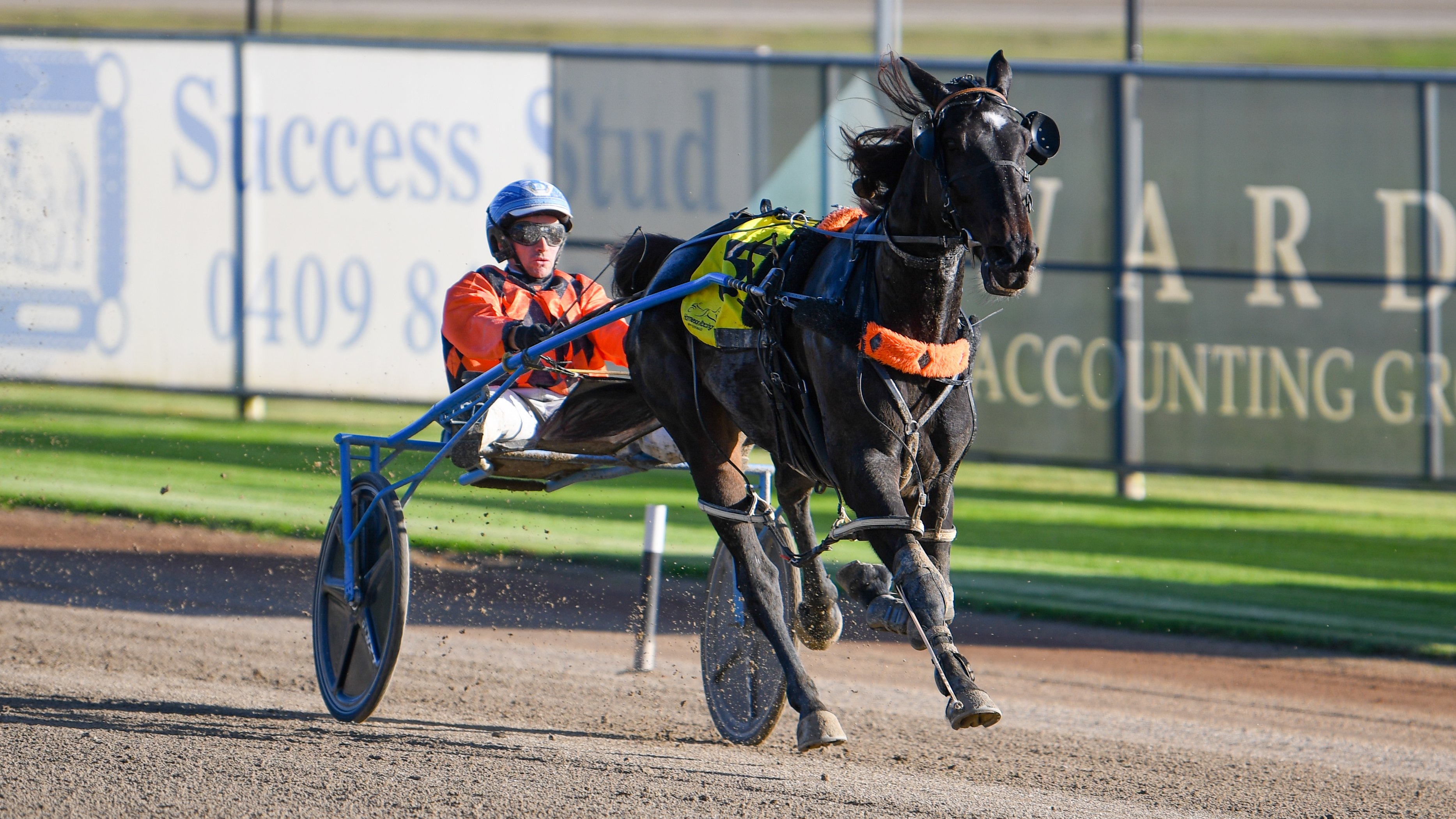 Chasing a sentimental victory in $100,000 Group 1