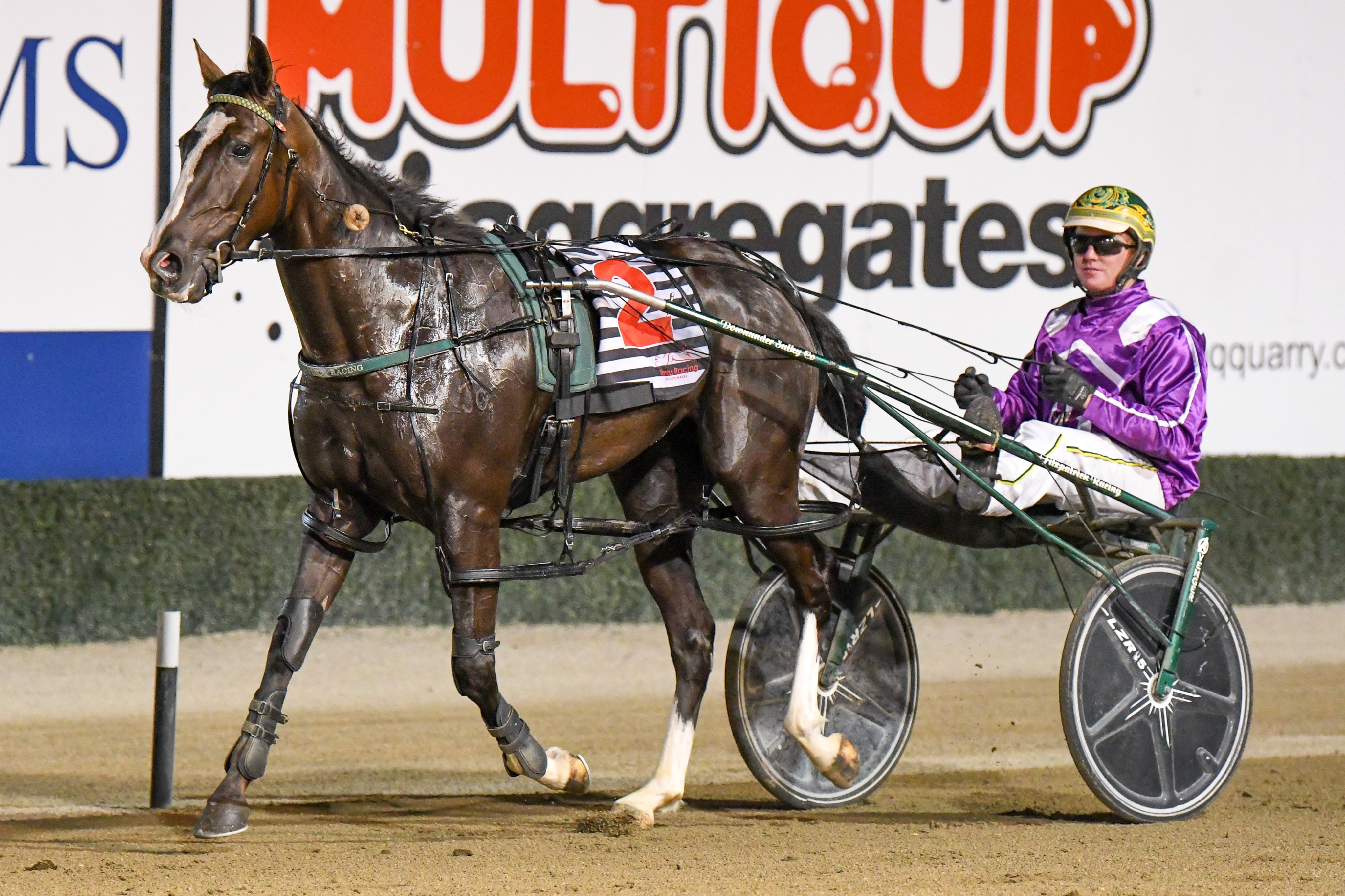 Libby Racing Effort pays off with a major milestone for dual-code trainer