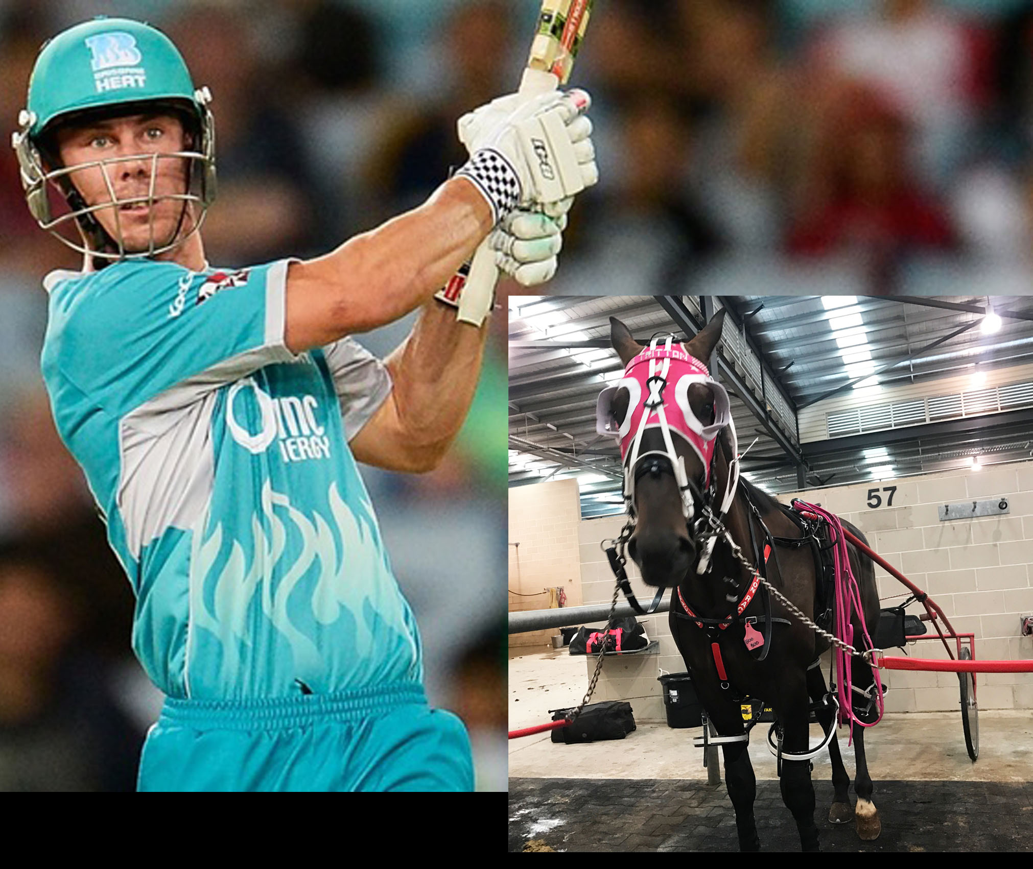 Harness racing’s own ‘Lynnsanity’