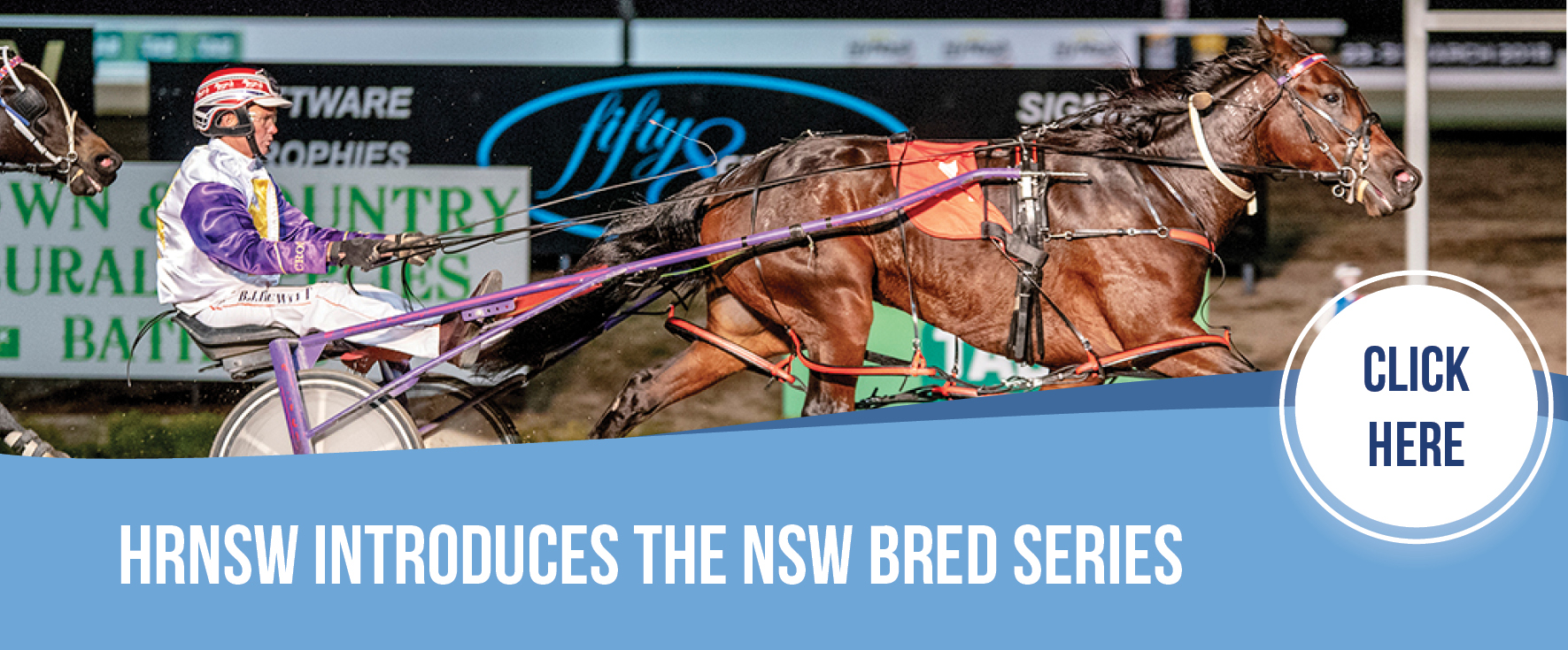 NSW Bred Series