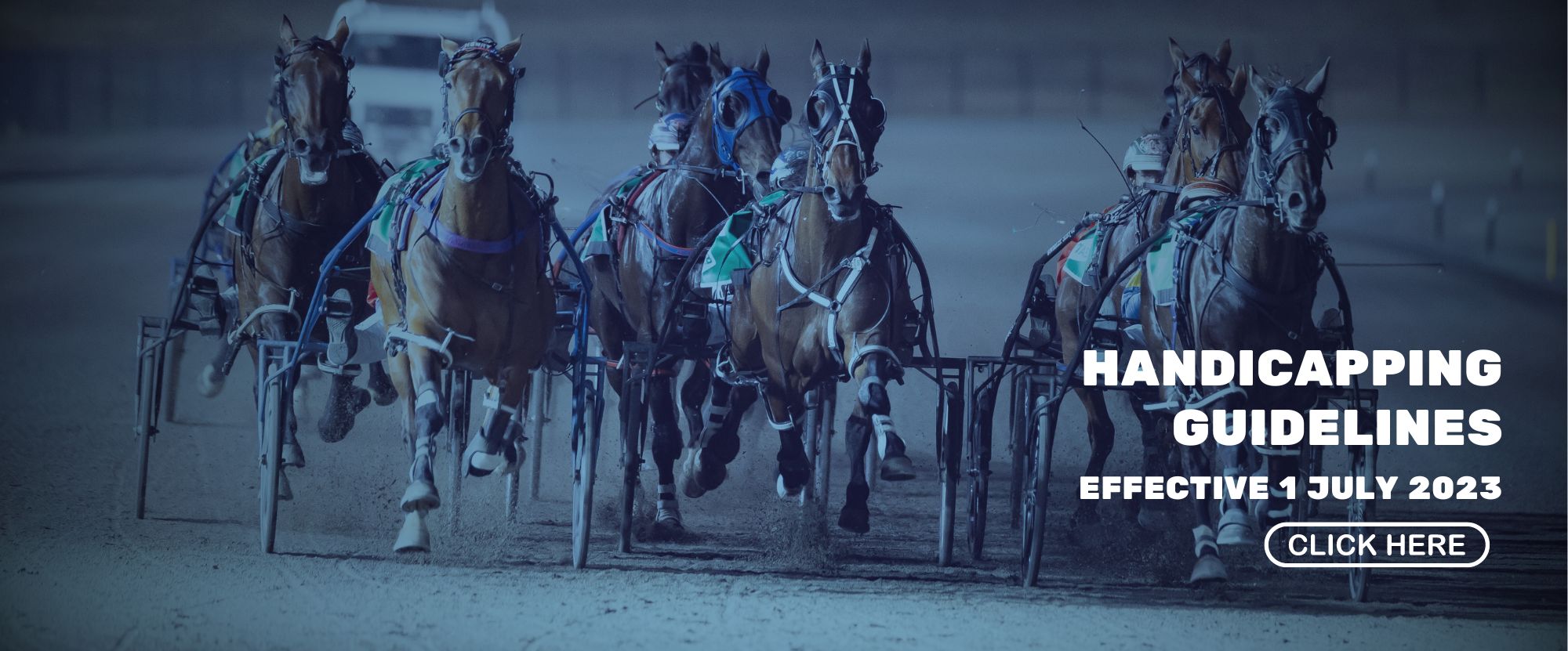 2023 Handicapping Guidelines
